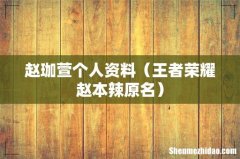 王者荣耀赵本辣原名 赵珈萱个人资料