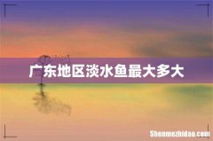 广东地区淡水鱼最大多大
