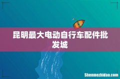 昆明最大电动自行车配件批发城