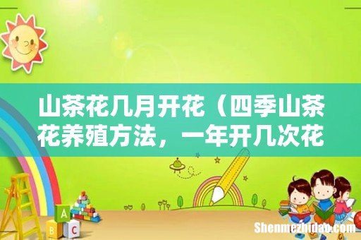 四季山茶花养殖方法，一年开几次花 山茶花几月开花