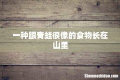一种跟青蛙很像的食物长在山里