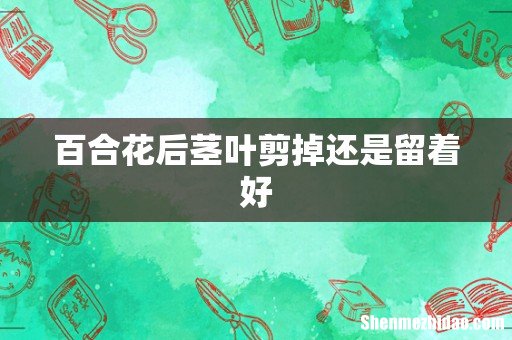 百合花后茎叶剪掉还是留着好