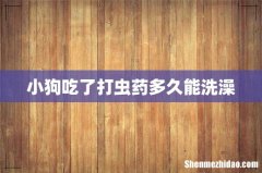 小狗吃了打虫药多久能洗澡