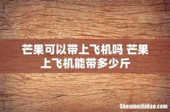 芒果可以带上飞机吗 芒果上飞机能带多少斤