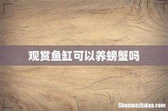 观赏鱼缸可以养螃蟹吗