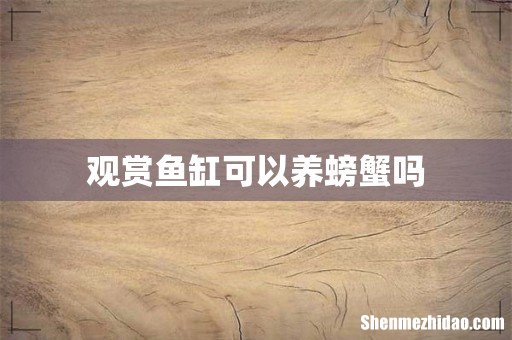 观赏鱼缸可以养螃蟹吗