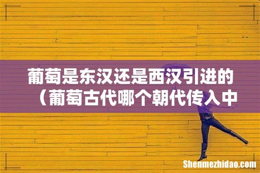 葡萄古代哪个朝代传入中国 葡萄是东汉还是西汉引进的