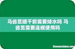 马齿苋晒干前需要焯水吗 马齿苋需要连根使用吗