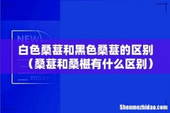 桑葚和桑椹有什么区别 白色桑葚和黑色桑葚的区别