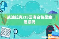 凯迪拉克ct5云海白色是金属漆吗