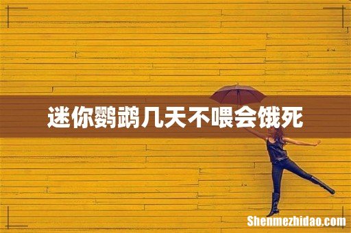 迷你鹦鹉几天不喂会饿死