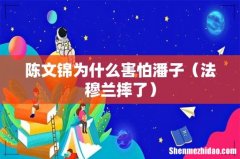 法穆兰摔了 陈文锦为什么害怕潘子