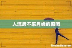 人流后不来月经的原因