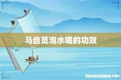马齿苋泡水喝的功效