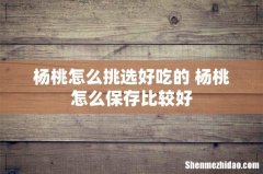 杨桃怎么挑选好吃的 杨桃怎么保存比较好
