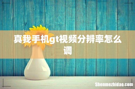 真我手机gt视频分辨率怎么调