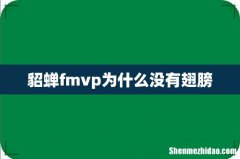 貂蝉fmvp为什么没有翅膀
