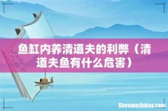清道夫鱼有什么危害 鱼缸内养清道夫的利弊