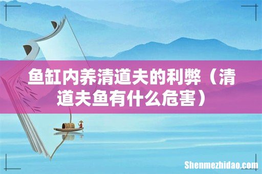 清道夫鱼有什么危害 鱼缸内养清道夫的利弊