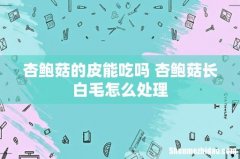 杏鲍菇的皮能吃吗 杏鲍菇长白毛怎么处理