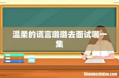 温柔的谎言璐璐去面试哪一集