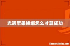 光遇苹果换绑怎么才算成功
