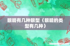 眼睛的类型有几种 眼睛有几种眼型