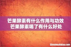 芒果酵素有什么作用与功效 芒果酵素喝了有什么好处