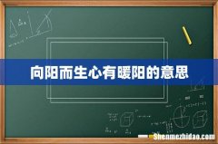 向阳而生心有暖阳的意思