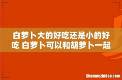 白萝卜大的好吃还是小的好吃 白萝卜可以和胡萝卜一起吃吗