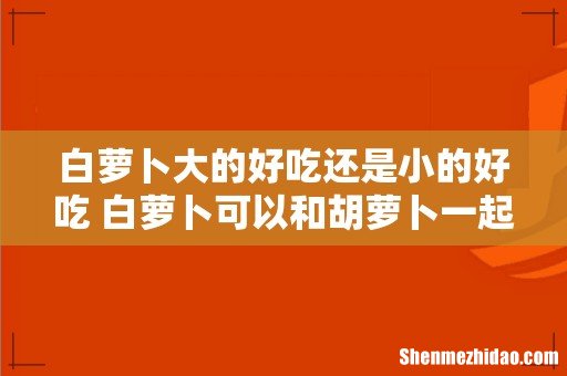 白萝卜大的好吃还是小的好吃 白萝卜可以和胡萝卜一起吃吗