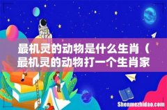 最机灵的动物打一个生肖家禽 最机灵的动物是什么生肖