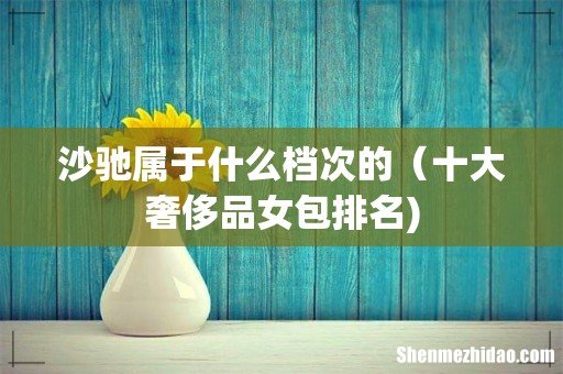 沙驰属于什么档次的(十大奢侈品女包排名)
