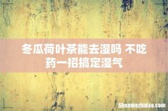 冬瓜荷叶茶能去湿吗 不吃药一招搞定湿气