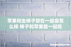 苹果和生柿子放在一起会怎么样 柿子和苹果能一起吃吗