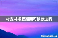 村支书撤职期间可以参选吗