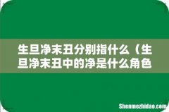 生旦净末丑中的净是什么角色 生旦净末丑分别指什么