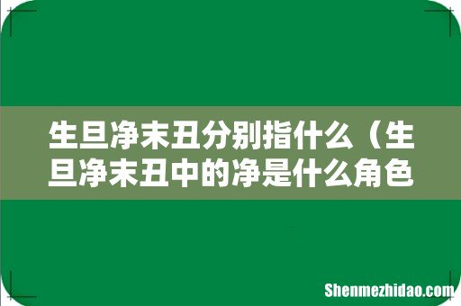 生旦净末丑中的净是什么角色 生旦净末丑分别指什么