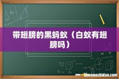 白蚁有翅膀吗 带翅膀的黑蚂蚁