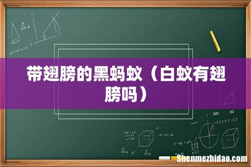 白蚁有翅膀吗 带翅膀的黑蚂蚁