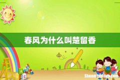 春风为什么叫楚留香