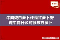 牛肉炖白萝卜还是红萝卜好 炖牛肉什么时候放白萝卜