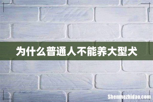 为什么普通人不能养大型犬