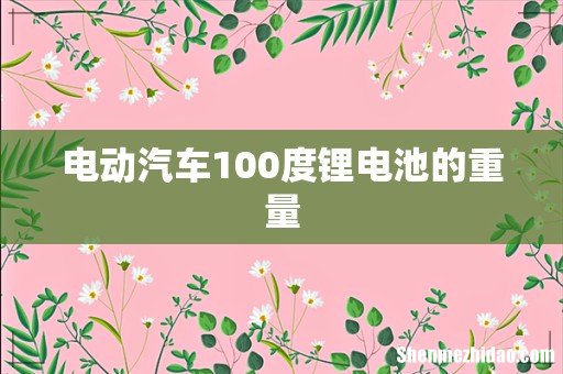 电动汽车100度锂电池的重量