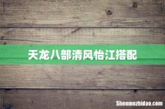 天龙八部清风怡江搭配
