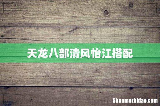 天龙八部清风怡江搭配
