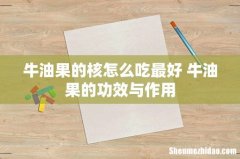 牛油果的核怎么吃最好 牛油果的功效与作用
