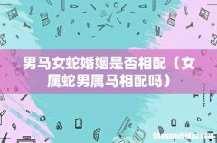 女属蛇男属马相配吗 男马女蛇婚姻是否相配