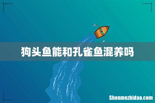 狗头鱼能和孔雀鱼混养吗