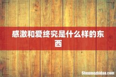 感激和爱终究是什么样的东西